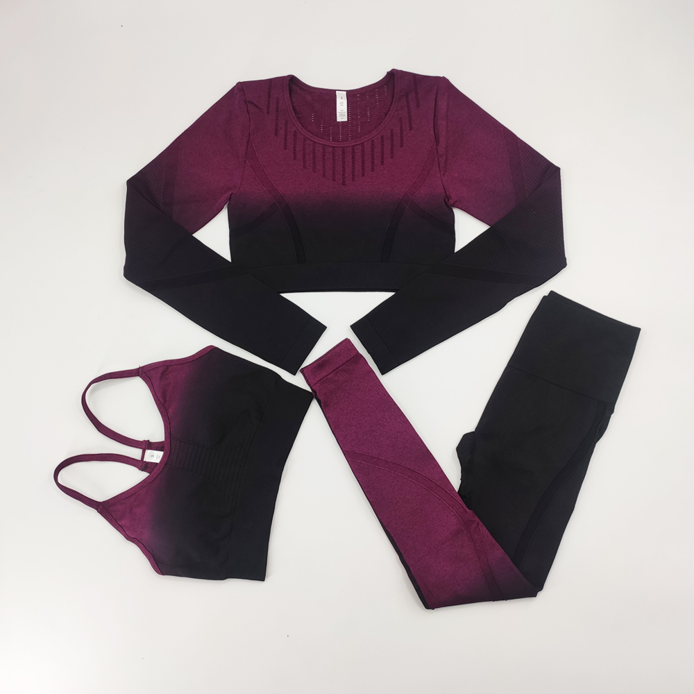 Yoga Tracksuits Women's Seamless Sets Fitness Sport Suits Gym Sportswear Crop Top High Waist Running Leggings Sports Bras · v2